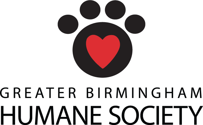 Dog Boarding in Alabama for Your Holiday Travel 3 animal hospital