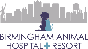 Birmingham Animal Hospital + Resort
