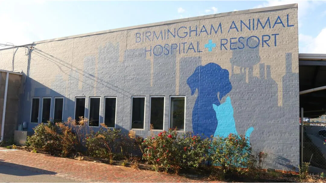 Birmingham Animal Hospital Tour 1