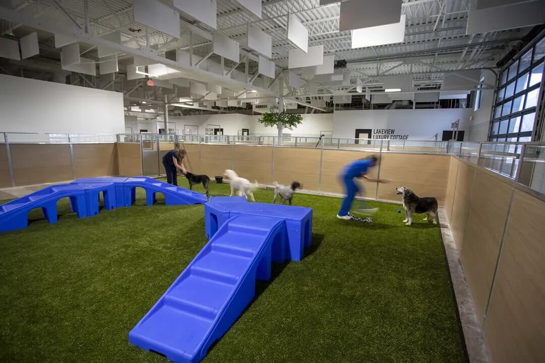 Birmingham Animal Hospital Tour 10