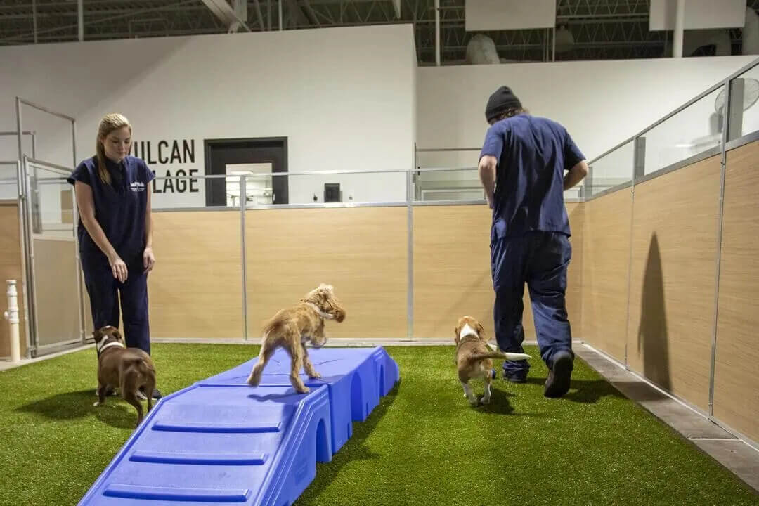 Birmingham Animal Hospital Tour 11