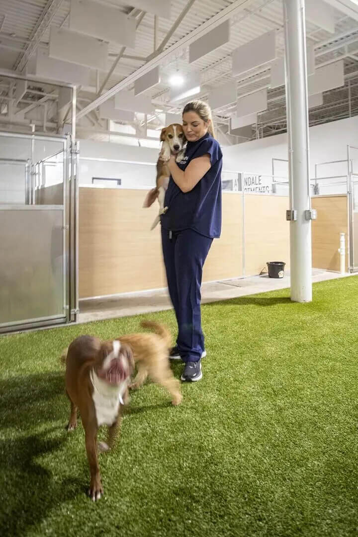 Birmingham Animal Hospital Tour 13