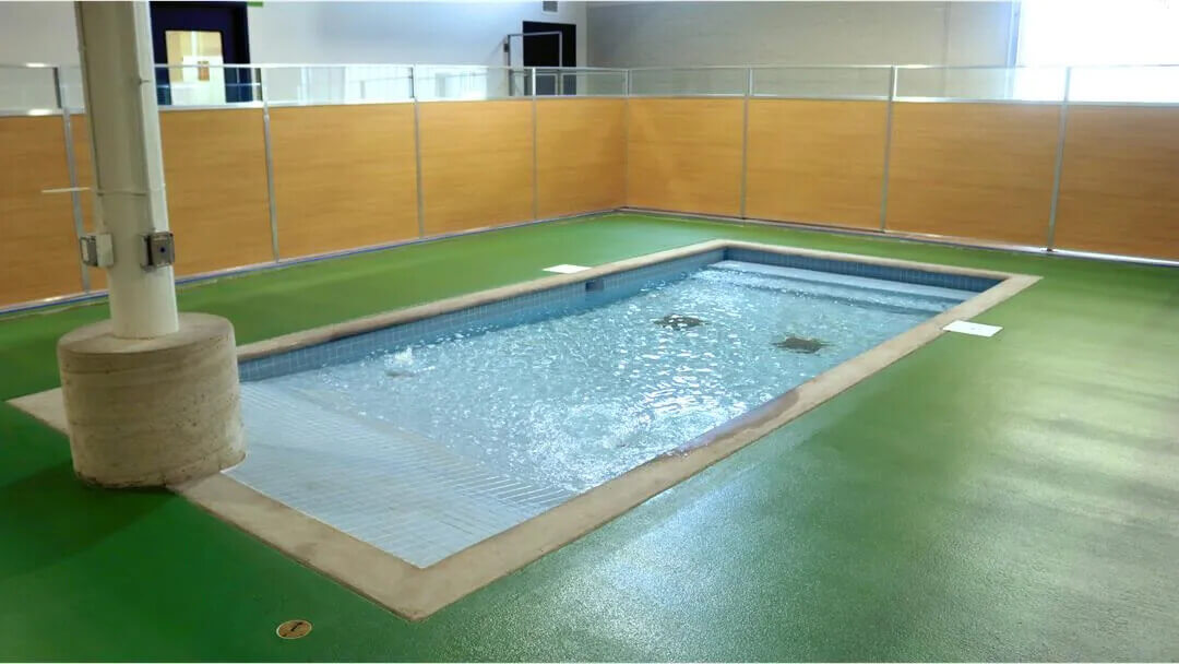 Birmingham Animal Hospital Tour 14