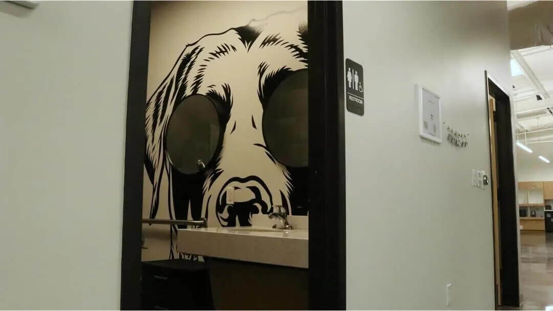 Birmingham Animal Hospital Tour 15