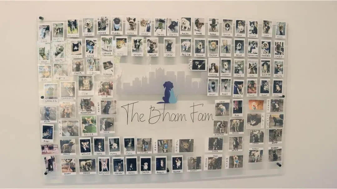 Birmingham Animal Hospital Tour 16