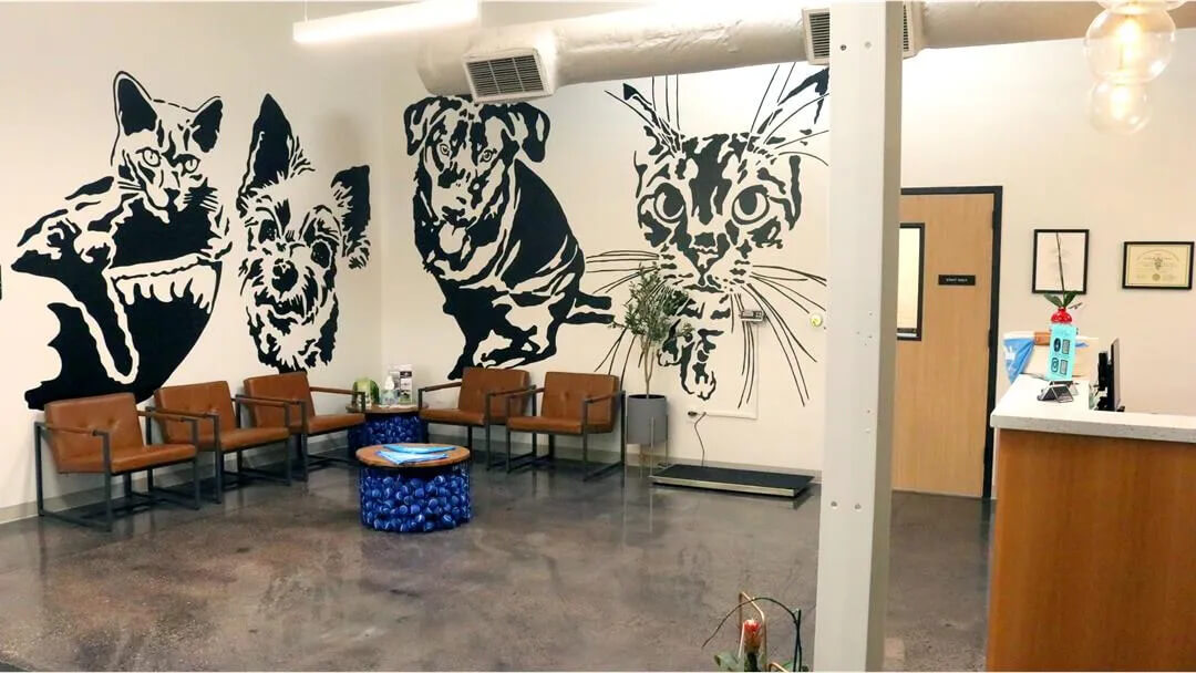 Birmingham Animal Hospital Tour 3