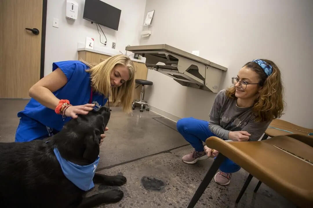 Birmingham Animal Hospital Tour 5