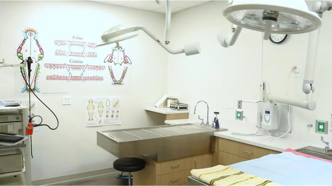 Birmingham Animal Hospital Tour 9