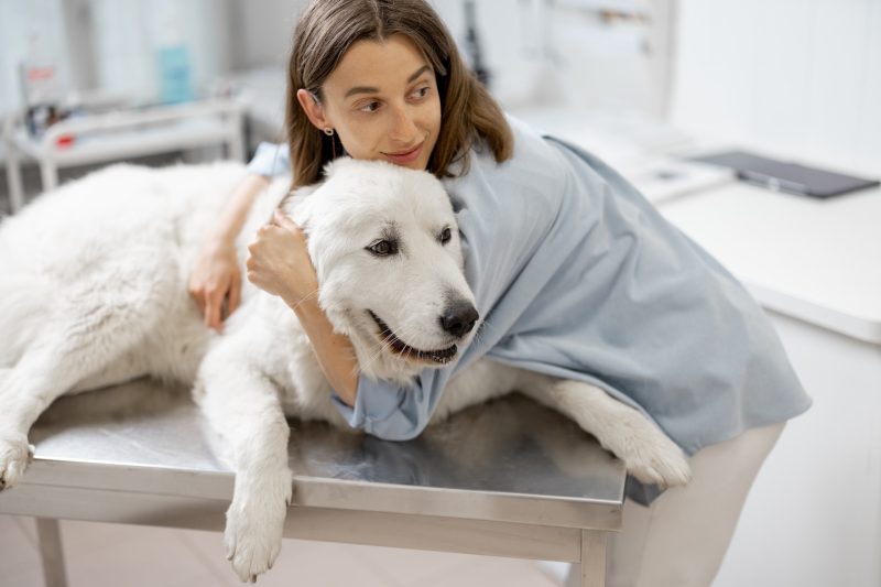 Preparing for Your Pet’s Vet Visit: Tips for a Smooth Experience