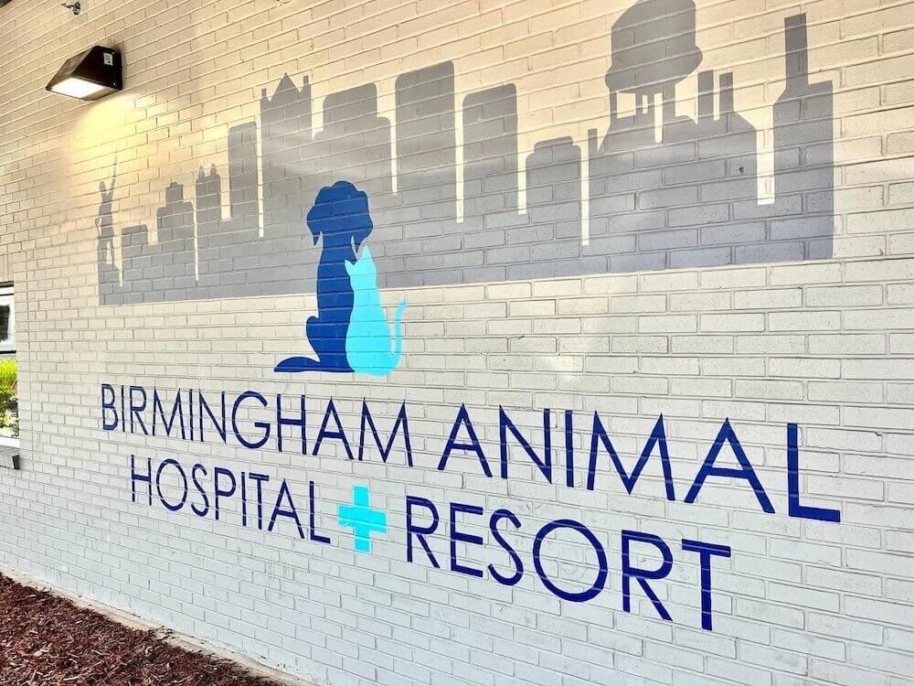 pet hospital In Birmingham, AL