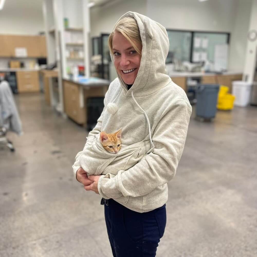 veterinarian playing with a resident cat