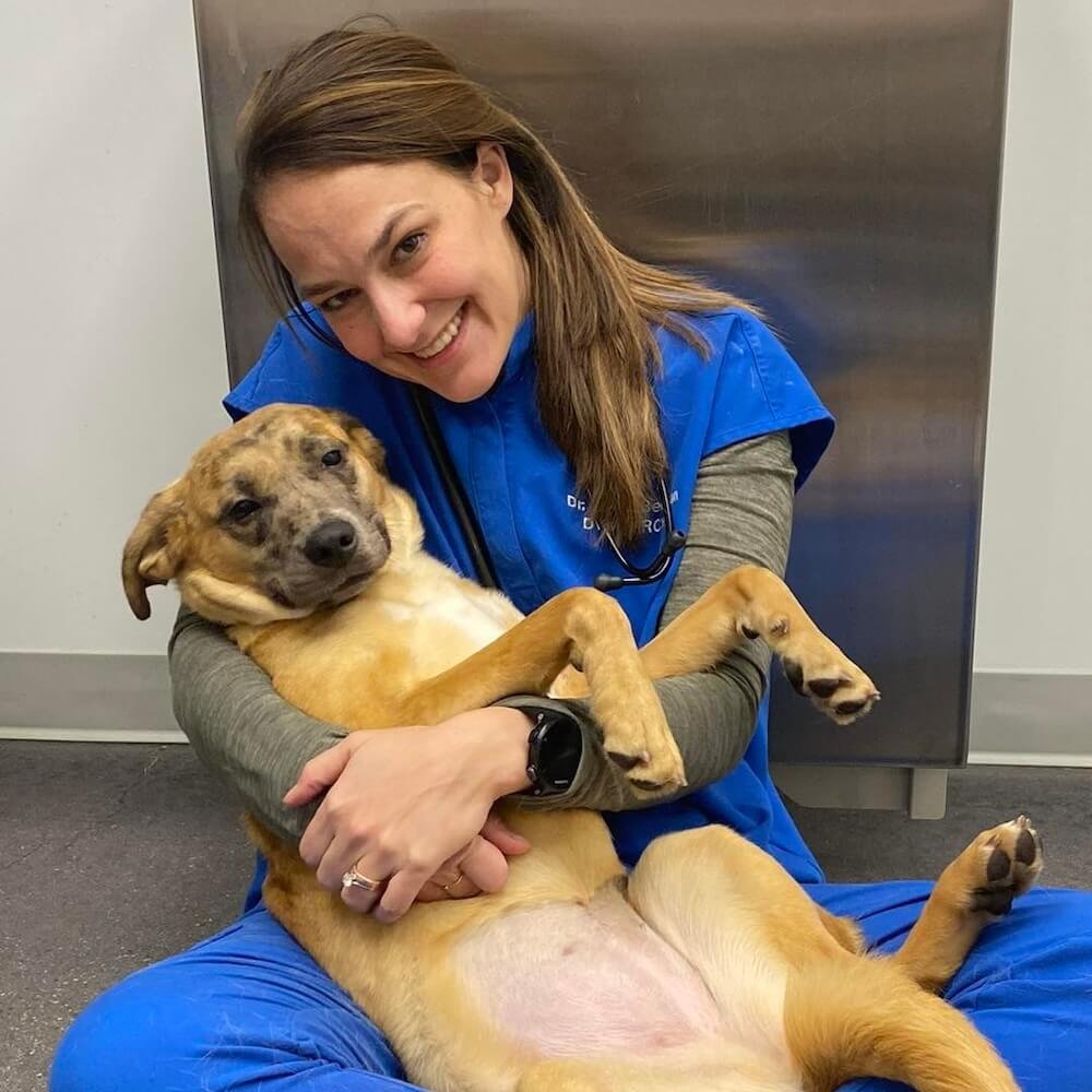 veterinarian sitting on the floor with a patient - its a dog