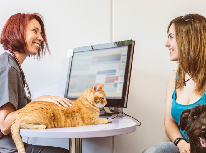 What Is a Fear Free® Veterinary Hospital and What Are The Benefits?