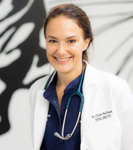 Claire Woodall Bellman