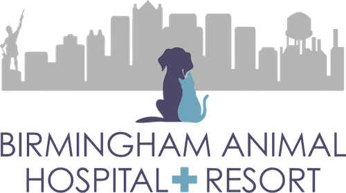 Birmingham Animal Hospital + Resort