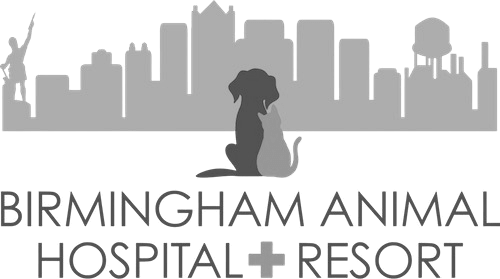 Birmingham Animal Hospital + Resort